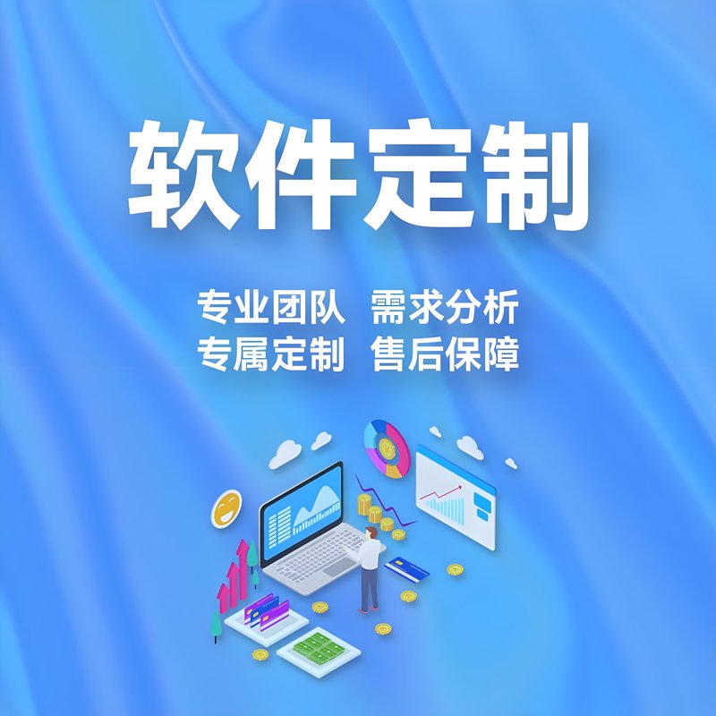 软件定制开发：企业创新的翅膀